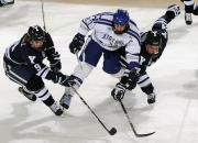 熊猫体育-樊振东刷新纪录之夜，波兰队完胜中国队，一场值得铭记的乒乓对决